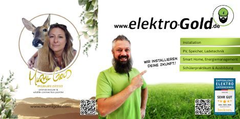 logo_elektro-gold-3